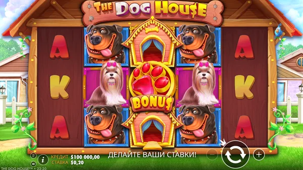 The Dog House Gameplay